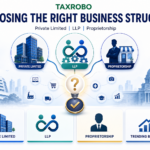 Private Limited, LLP or Proprietorship? Choosing the Right Structure for 10 Trending Businesses